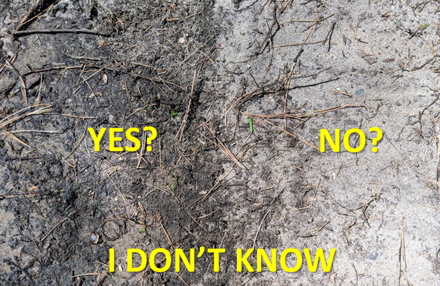Moist versus dry soil